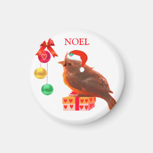 Aimant pour oiseau de Noël