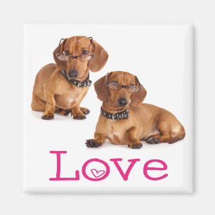 Aimant pour réfrigérateur Chien d'amour rose Dachs
