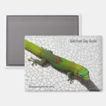 Aimant pour réfrigérateur Gecko diurne à poussière