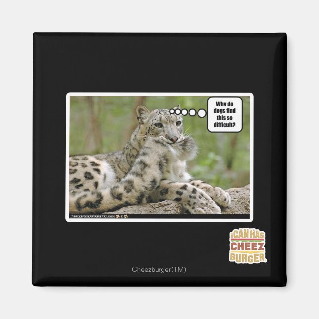 Aimant Pourquoi les chiens trouvent-ils cela si difficile (Devant)