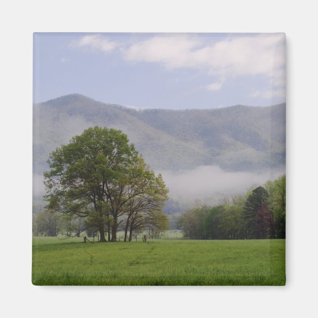 Aimant Prairie brumeuse et Rich Mountain, Cades Cove, (Devant)