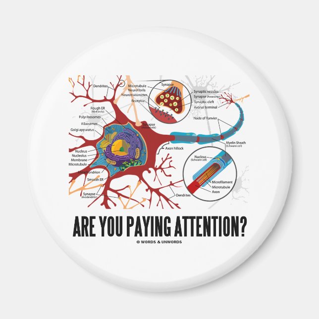 Aimant Prends-Tu Attention ? (Humour Synapse du neurone) (Devant)