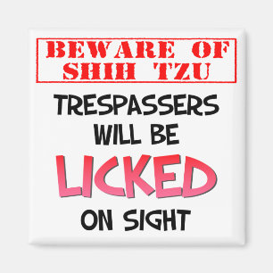 Aimant Prenez garde de Shih Tzu de l'aimant carré (blanc