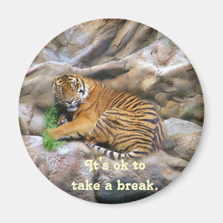 Aimant Prenez un objet Break_Magnet