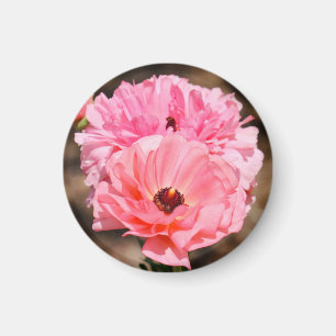 Aimant Presse en rose