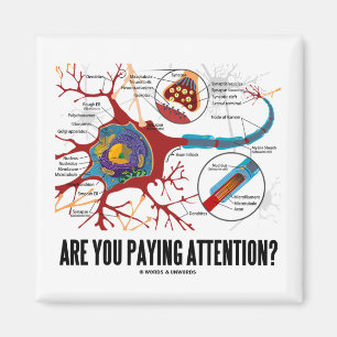 Aimant Prêtez-vous l'attention ? (Humour de synapse de