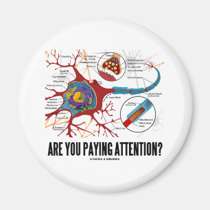 Aimant Prêtez-vous l'attention ? (Humour de synapse de