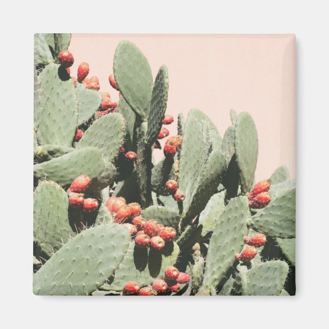 Aimant Prickley Pear Cactus (Devant)