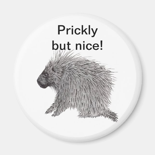 Aimant Prickly mais Nice Porcupine (Devant)