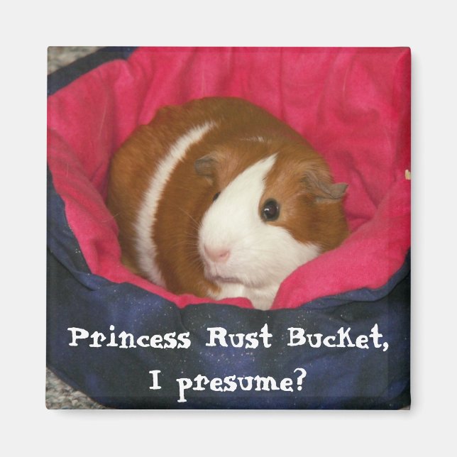 Aimant Princesse Rust Bucket, je suppose ? (Devant)