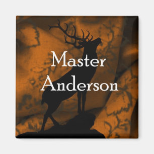 Aimant principal d'Anderson