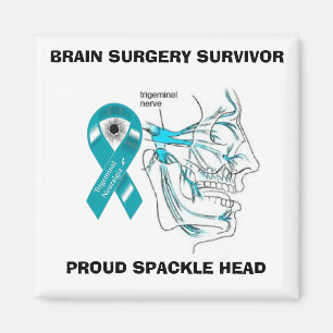 Aimant principal de Spackle