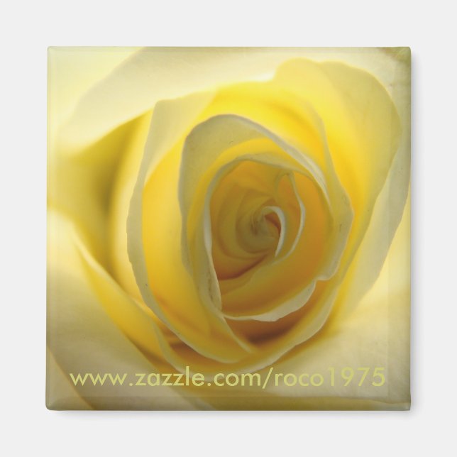 Aimant Principalement centré (Devant)