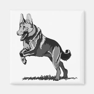 Aimant Printemps Schäferhund