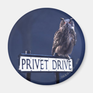 Aimant Privet Drive