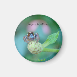 Aimant Prix Perfect in Nature