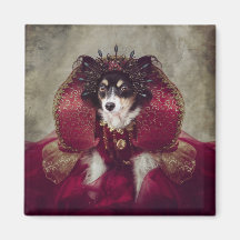 Projet de protection des animaux domestiques - Peg