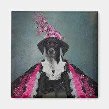 Projet de protection des animaux domestiques - Poi