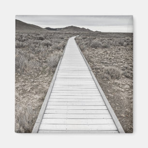 Aimant Promenade par le désert