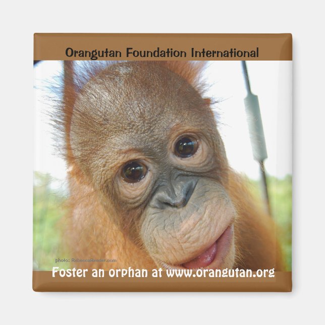 Aimant Promotion de printemps des animaux orphelins (Devant)