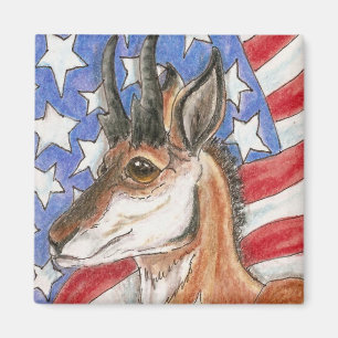 Aimant Pronghorn Antelope Americana Wildlife Art