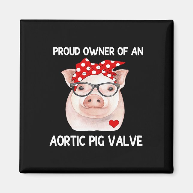 Aimant Propriétaire D'Une Vanne De Cochon Aortique Connai (Devant)