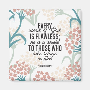 Aimant Proverbe 30:5 Verset biblique