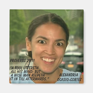 AIMANT PROVERBES 29:11