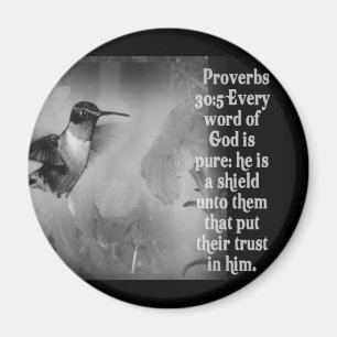 Aimant Proverbes 30:5 BIBLE SCRIPTURE avec colibri
