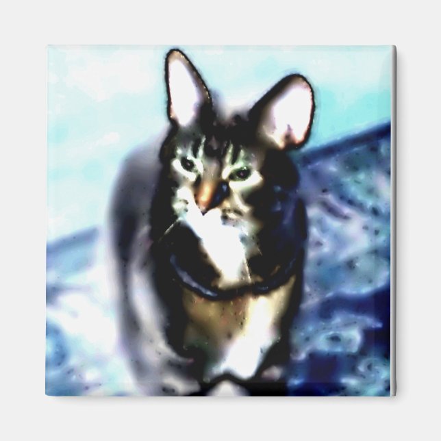 Aimant Psychadélique Kitty (Devant)