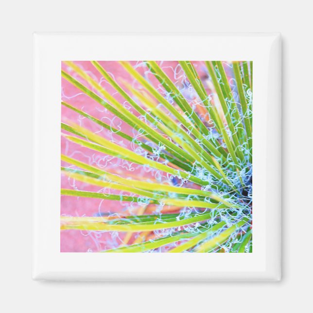 Aimant Psychedelic Yucca (Devant)