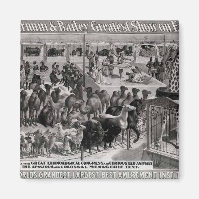 Aimant Publicité d'affiche, 'Le Barnum et Bailey (Devant)