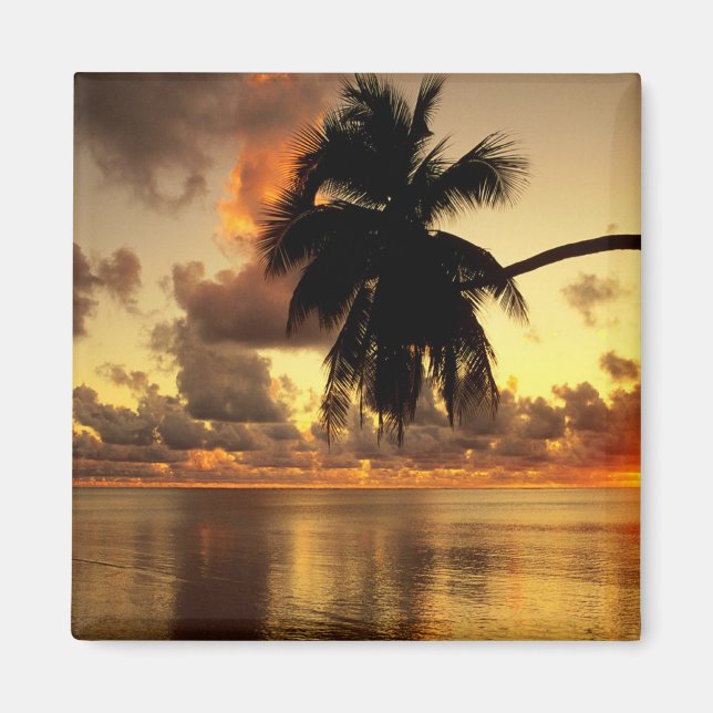 Aimant Puerto Vallarta (Devant)