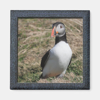 Aimant Puffins de Skomer Island