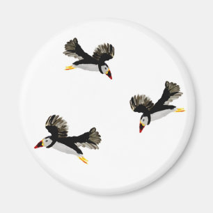 Aimant Puffins en vol Oiseaux côtiers Art