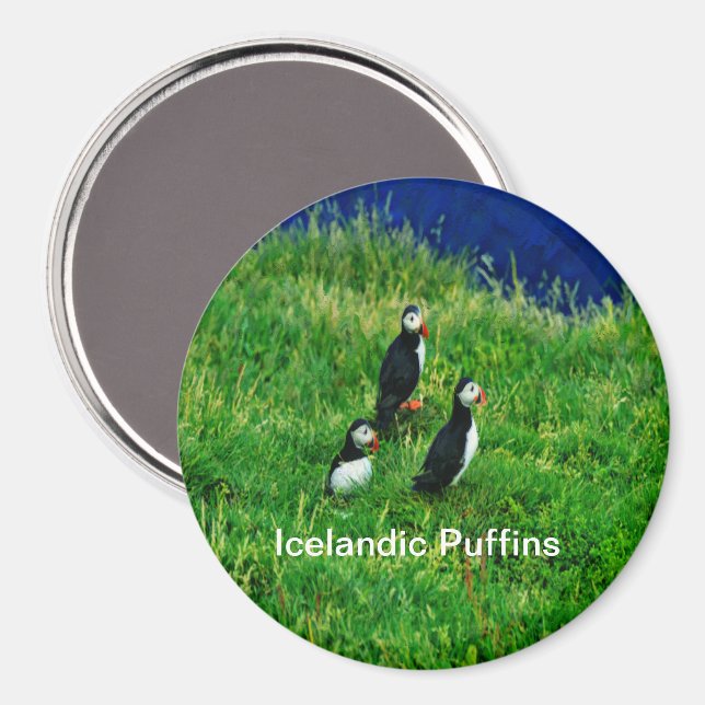 Aimant Puffins islandais en été (Recto/Verso)