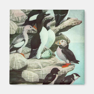 Aimant Puffins vintages et oiseaux aquatiques de Louis Fu