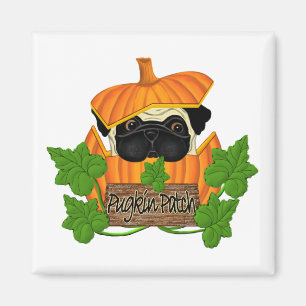 Aimant Pugkins