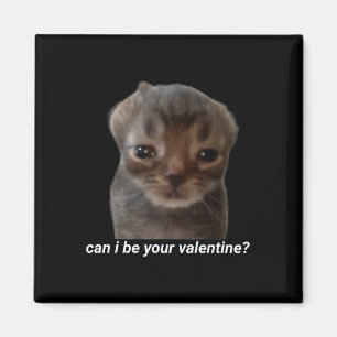 Aimant Puis-je être votre Saint-Valentin Mème de chat drô