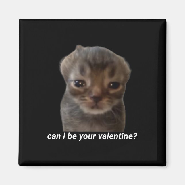 Aimant Puis-je être votre Saint-Valentin Mème de chat drô (Devant)