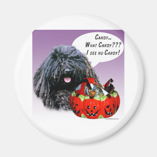 Aimant Puli Halloween Candy