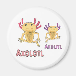 Aimant Pun Axolotl Axolitl