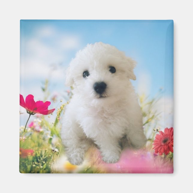 Aimant Puppy Angel (Devant)