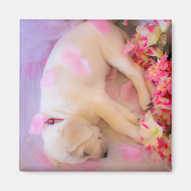 Aimant Puppy cuddles 02 (Devant)
