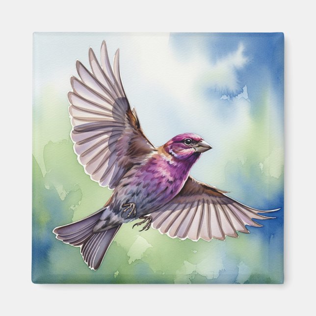 Aimant Purple Finch in flight (Devant)