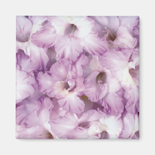 Aimant Purple Glads Toutes Les Occasions (Devant)