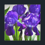 Aimant Purple Irises Iris Flower<br><div class="desc">Perfect gift for the person in your life whose favorite flower is the iris.  These Irises are purple with green stems.  Vibrant and delicate.</div>