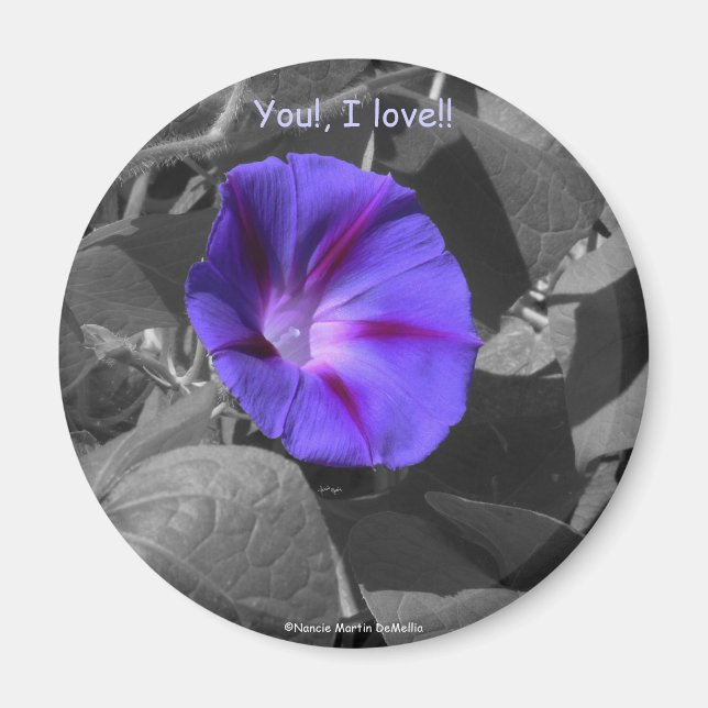Aimant Purple Morning Glory-Magnet (Devant)