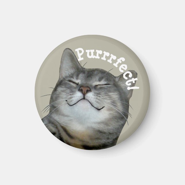 Aimant Purrfect Smiling chatte chatte cachée (Devant)