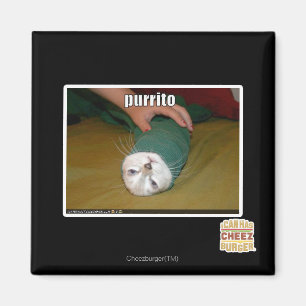 Aimant purrito